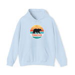 Campfire Hoodie - TENNESSEE BLACK BEAR