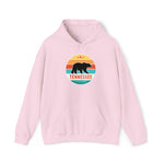 Campfire Hoodie - TENNESSEE BLACK BEAR