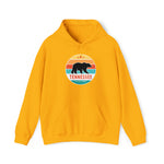 Campfire Hoodie - TENNESSEE BLACK BEAR